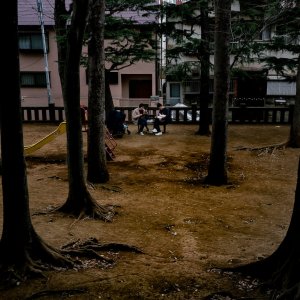 A family picnicking in the park at Taishido Hachiman Jinja Shrine