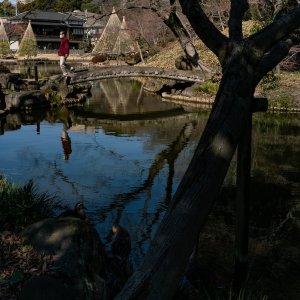 Pond at Higo Hosokawa Garden