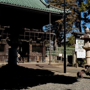 Parent and child crouching in front of the gate of Myohoji Temple