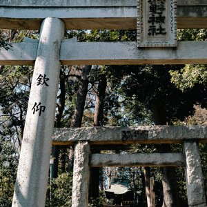 Torii of Izumi Kumano Jinja Shrine