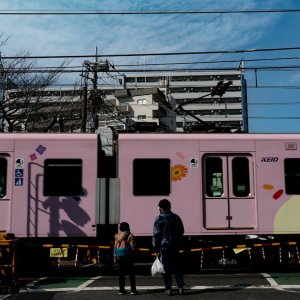Pink Keio Line crossing a railroad crossing