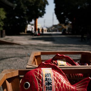 Fortune slip shaped like a sea bream at Kawagoe Hikawa Shrine