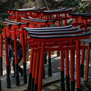 Jigen-in Takuzosu-Inari Shrine