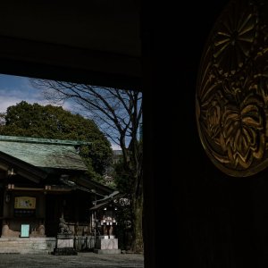 大きな紋章のある東郷神社の扉