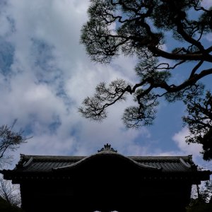 Furo-mon Gate of Gokoku-ji Temple