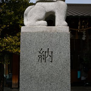 Akagi Jinja's Komainu