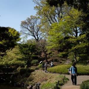 Path in Kyu-Furukawa Gardens