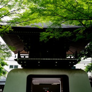 Ryugumon of Taisho-ji Temple