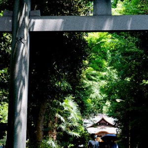 Approach to Yoyogi Hachimangu Shrine