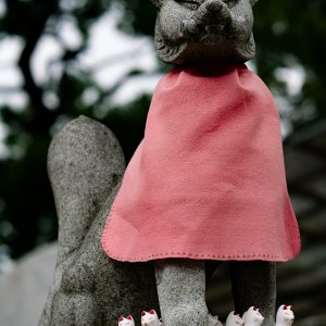 馬橋稲荷神社の狐