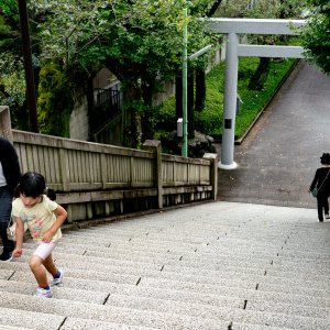 Stairway and torii of Hikawa Shrine