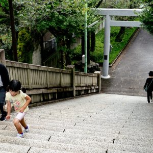 Stairway and torii of Hikawa Shrine