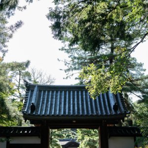 Go-mon gate in Sankeien Garden