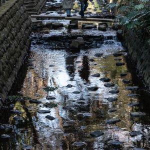 Yazawa River flowing through Todoroki Ravine