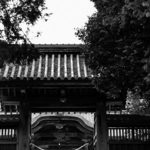 鶴山八幡宮の門