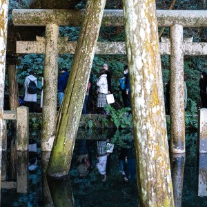 鹿島神宮の御手洗池