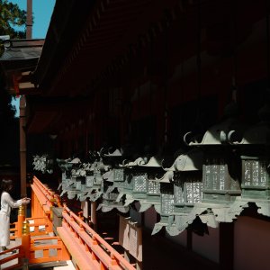 Kasuga-taisha Shrine's hanging lanterns