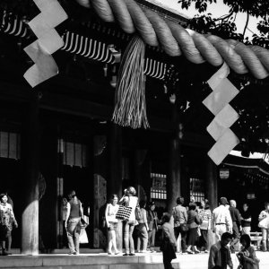 Sacred rope in Meiji Jingu