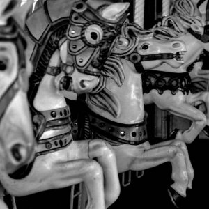Horses of the carousel