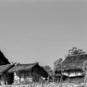 Thatched houses in village of Akha Tribe