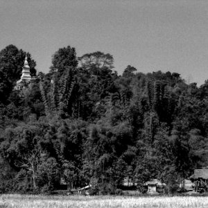 Stupa on leafy hill