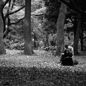 Man reading book in Yoyogi Park