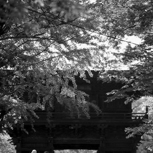 Silhouetted Nio-Mon gate