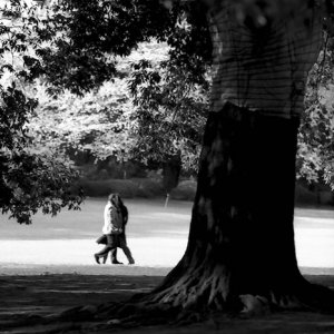 Couple on other side of tree