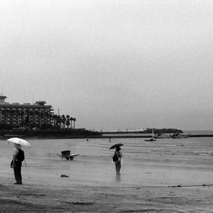 浜辺に三本の傘