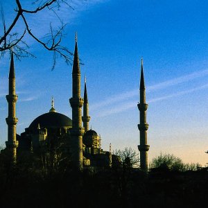 イスタンブールのブルー・モスク
