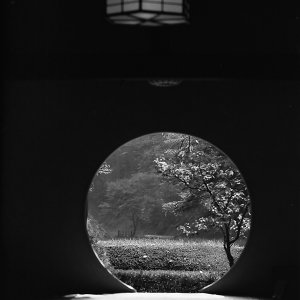 明月院の円い窓