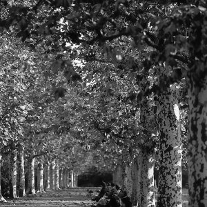 Benches in colonnade