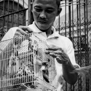 仏教寺院の前で放生するための鳥籠を持っていた男