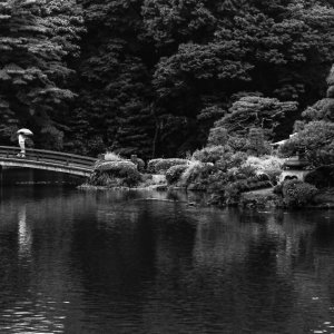 Bridge over Tamamo Pond in Shinjuku Gyoen