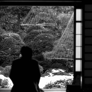 man watching garden