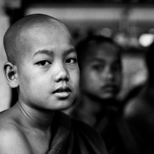 Young Buddhist monk wearing Kasaya