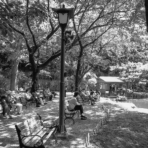 People relaxing on bench