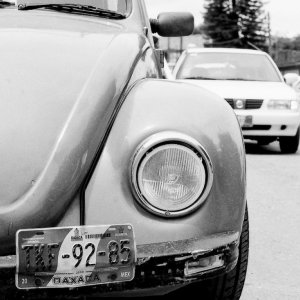 Car registration plate of beetle