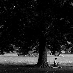 man playing under the tree
