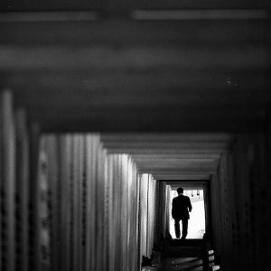 Silhouette descending stairway at Hie Jinja Shrine