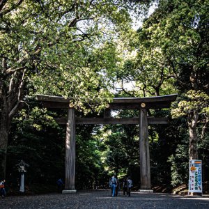 Wooden Torii in Meiji Jingu