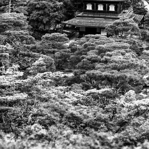 木立の中の銀閣寺