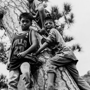 Three boys around tree