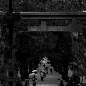 Torii standing in approach way