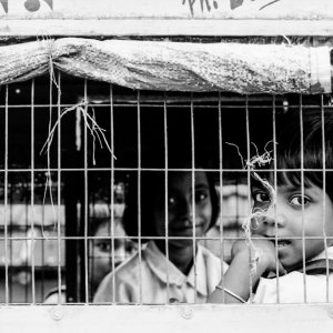 School kids in cage
