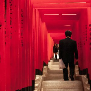 Businessman descending stairs covered with torii