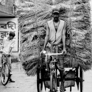 Burden on tricycle