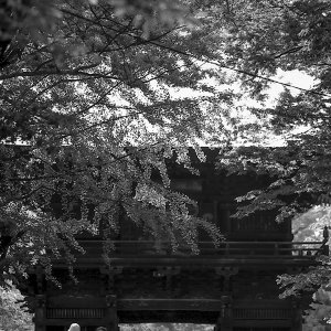Silhouetted Nio-Mon gate