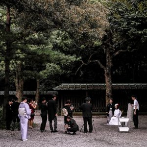 Photo session in Shinto shrine