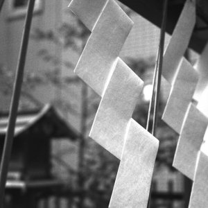 春日神社の紙垂